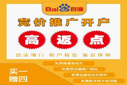 某某SEM服务公司成功案例：从数据出发的营销策略